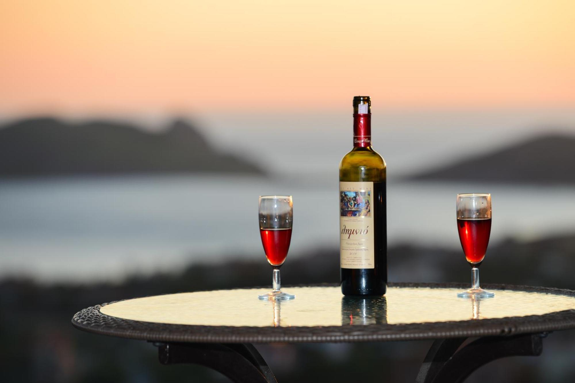 Hotel Dina - Ξενοδοχείο Ντινα Plati  Extérieur photo