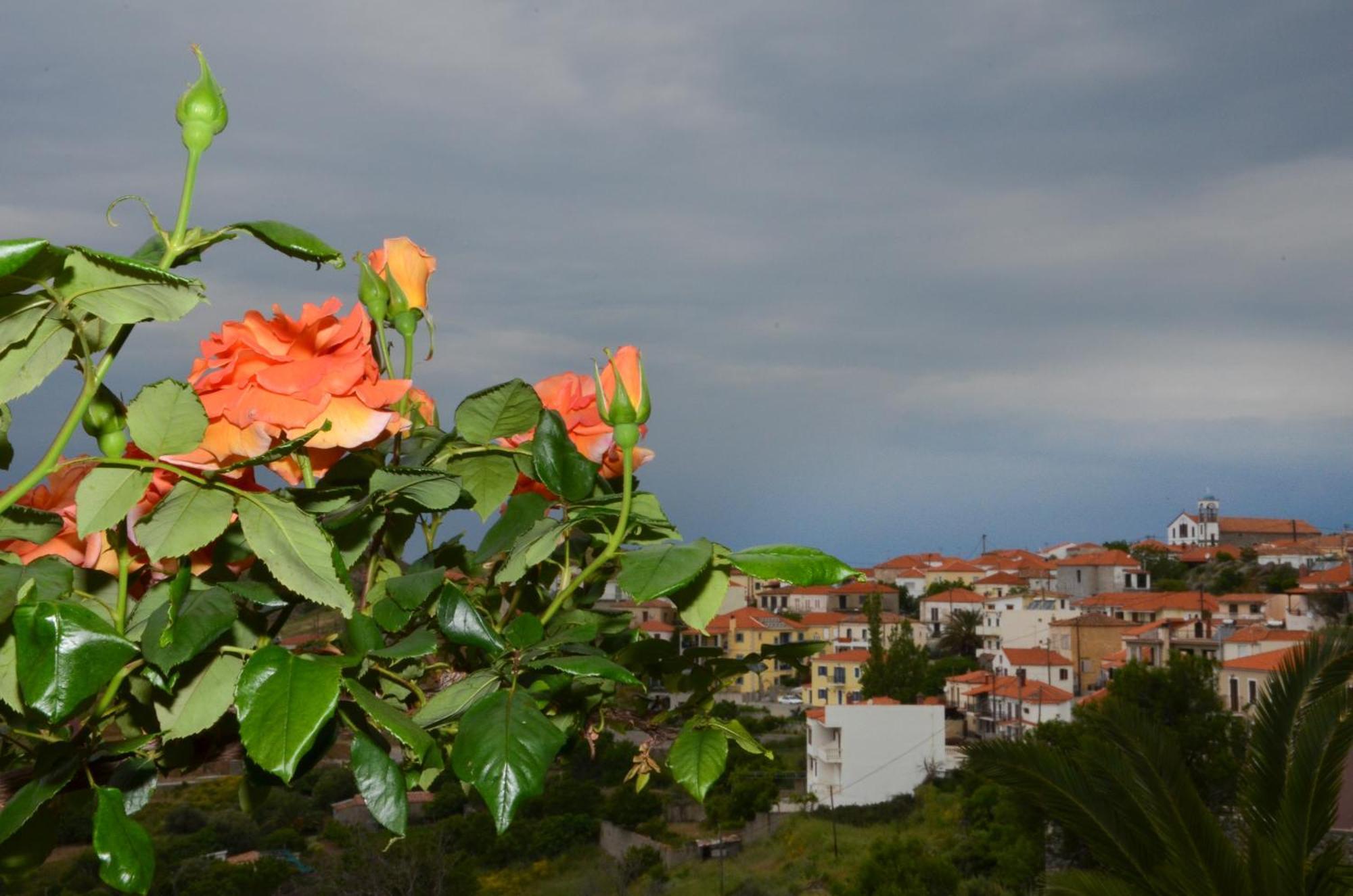 Hotel Dina - Ξενοδοχείο Ντινα Plati  Extérieur photo