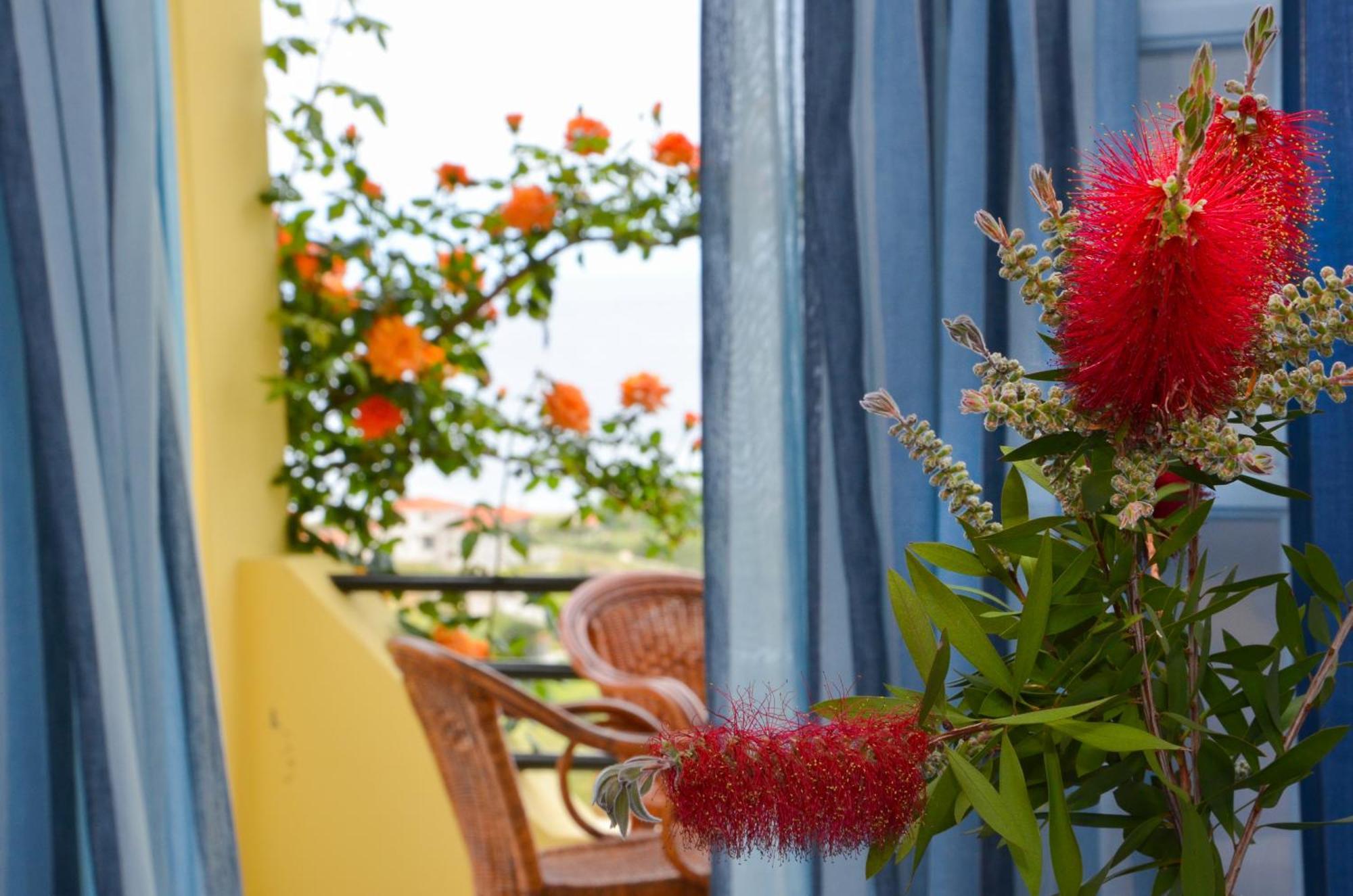 Hotel Dina - Ξενοδοχείο Ντινα Plati  Extérieur photo